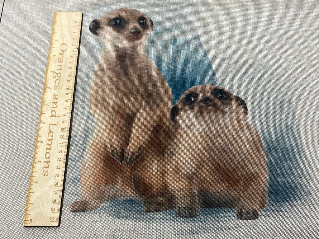 Meerkat Panel for cushion or bag, Animal, Animals, sold per panel