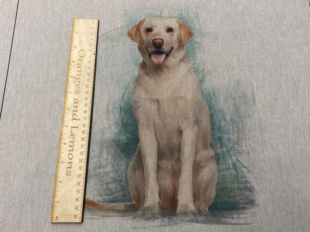 Labrador Dog Panel for cushion or bag, Animal, Animals, sold per panel