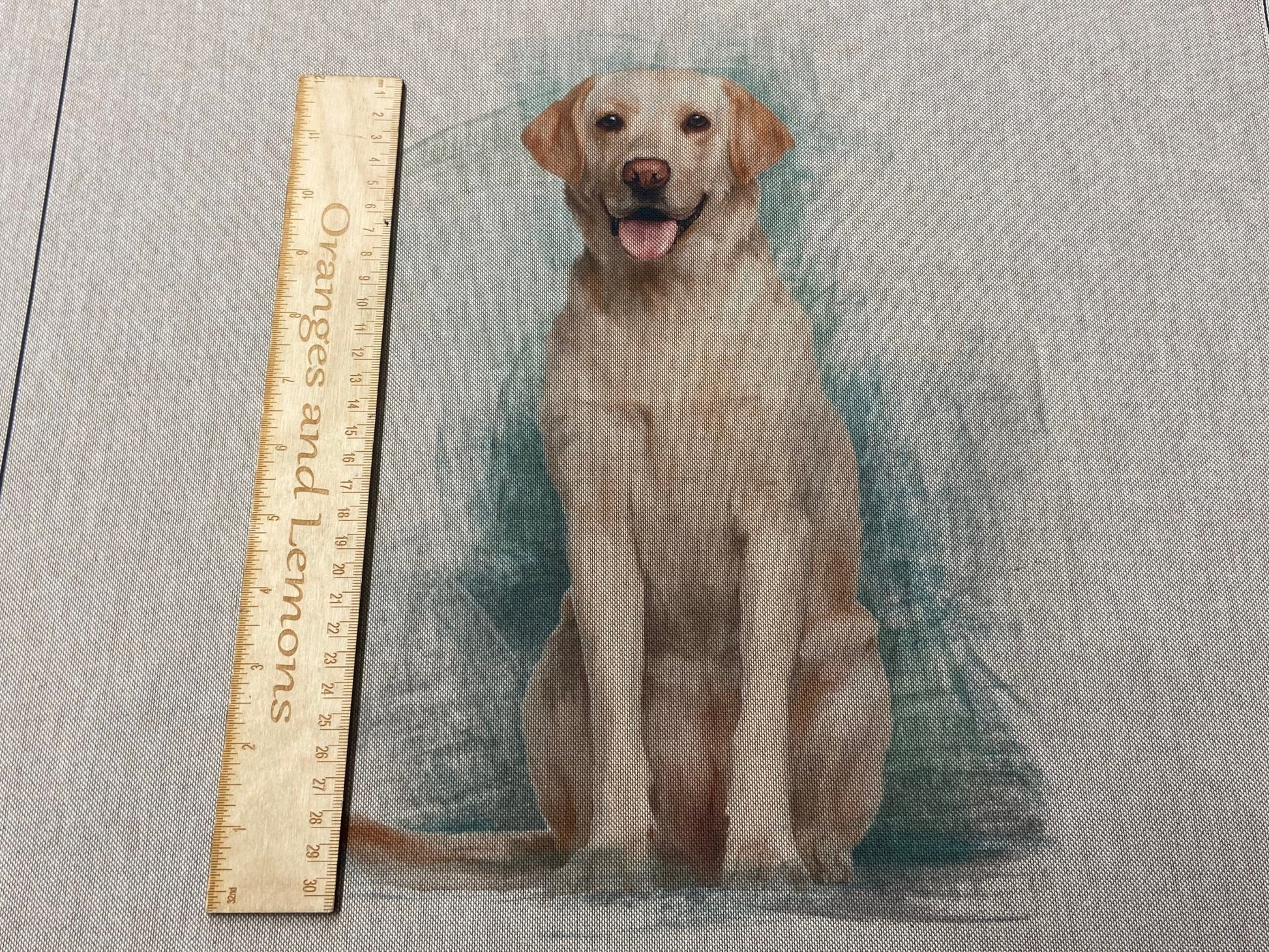 Labrador Dog Panel for cushion or bag, Animal, Animals, sold per panel