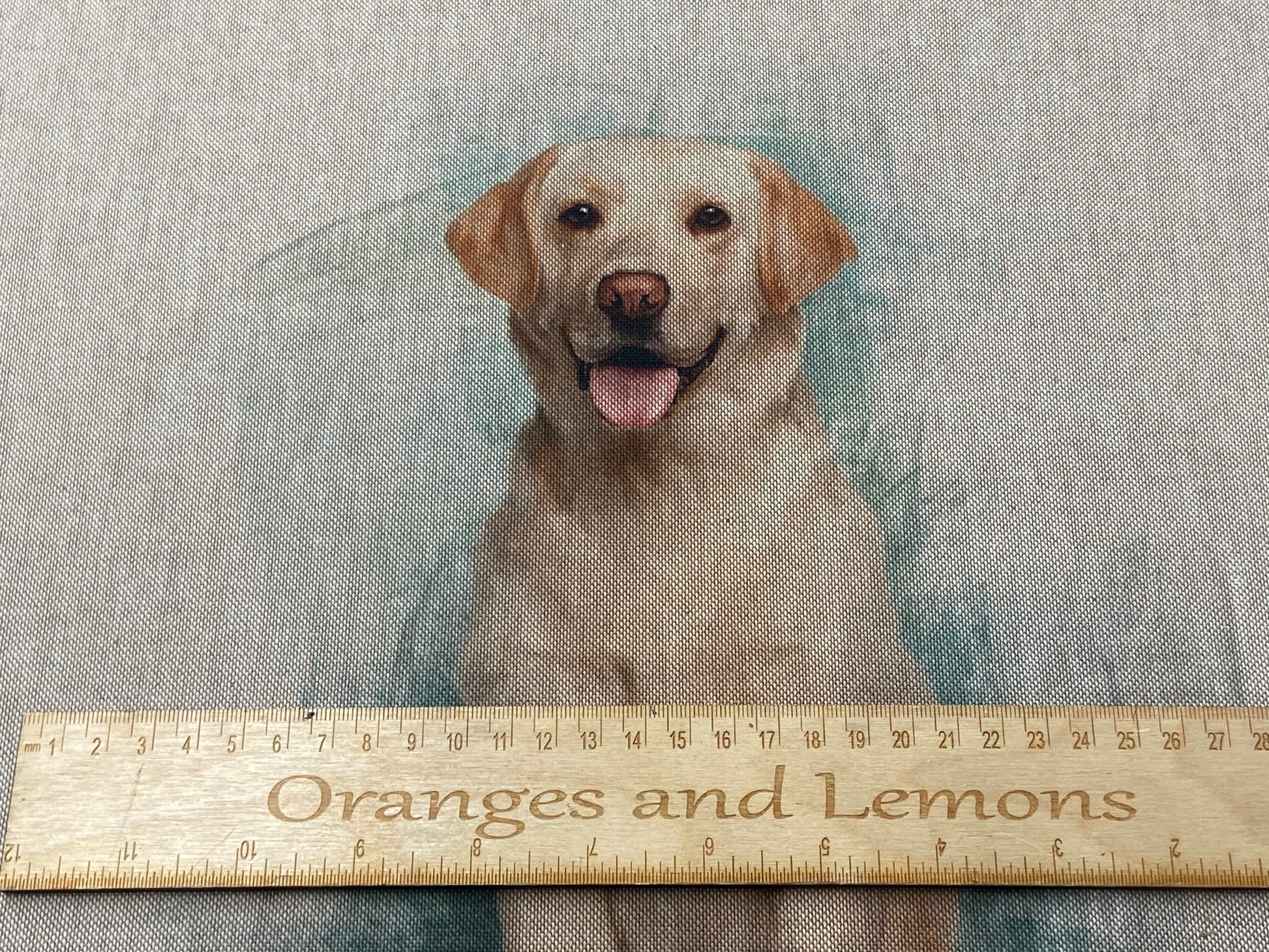 Labrador Dog Panel for cushion or bag, Animal, Animals, sold per panel