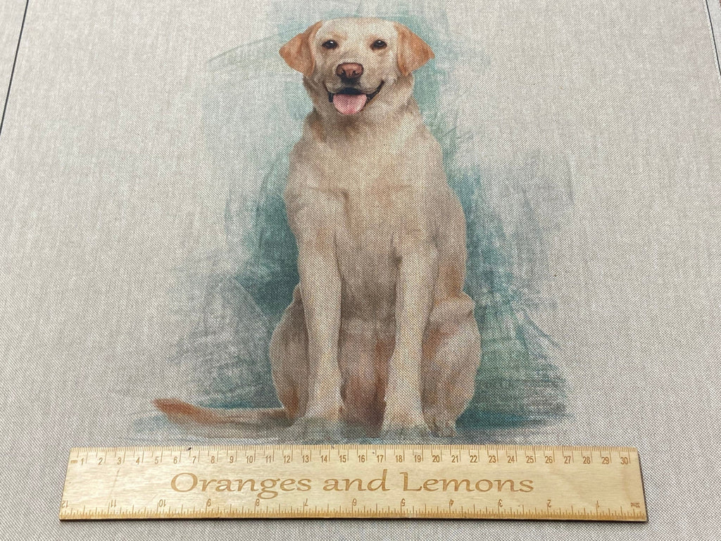 Labrador Dog Panel for cushion or bag, Animal, Animals, sold per panel