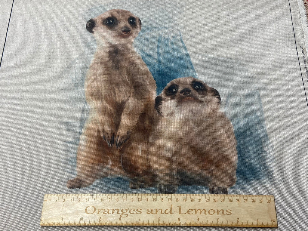 Meerkat Panel for cushion or bag, Animal, Animals, sold per panel