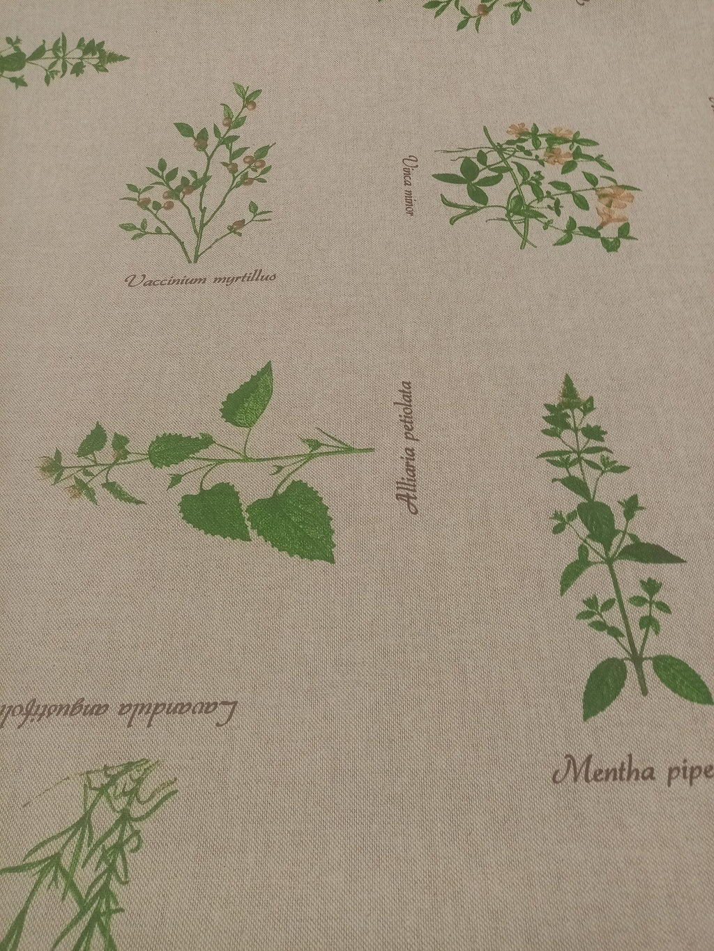 Plant Print Fabric, beige linen look Fabric PER HALF METRE