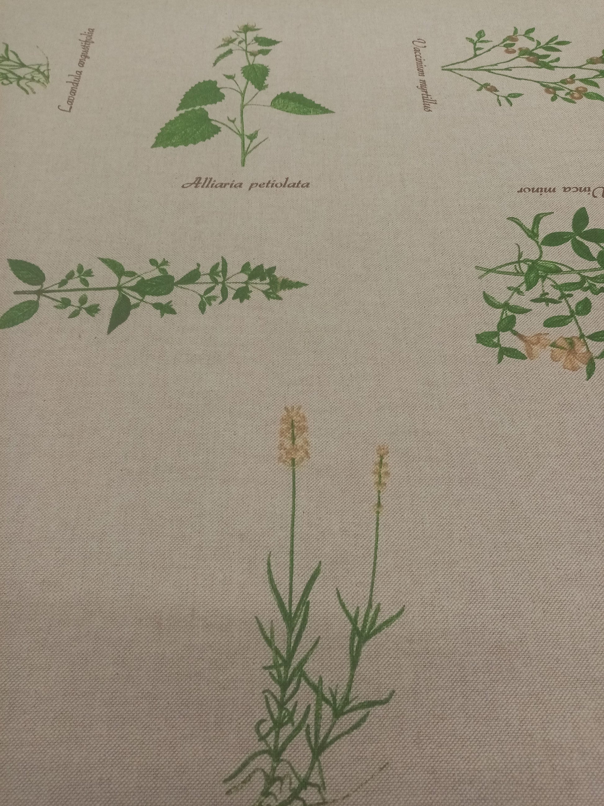 Plant Print Fabric, beige linen look Fabric PER HALF METRE