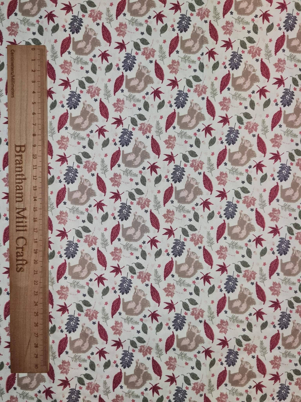 Autumn, Squirrel Print Fabric, 110cm width, 100% Cotton Poplin PER HALF METRE