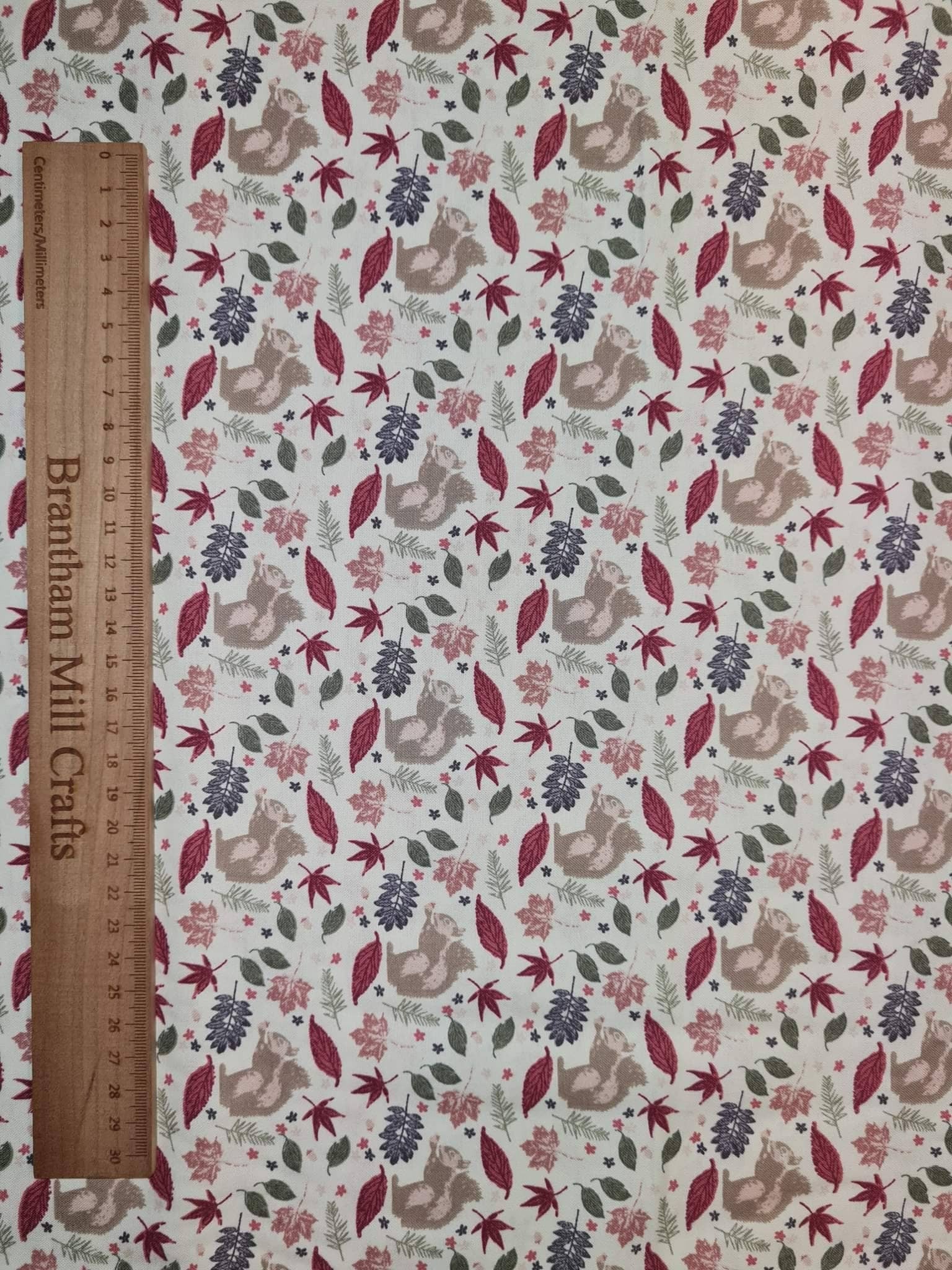 Autumn, Squirrel Print Fabric, 110cm width, 100% Cotton Poplin PER HALF METRE