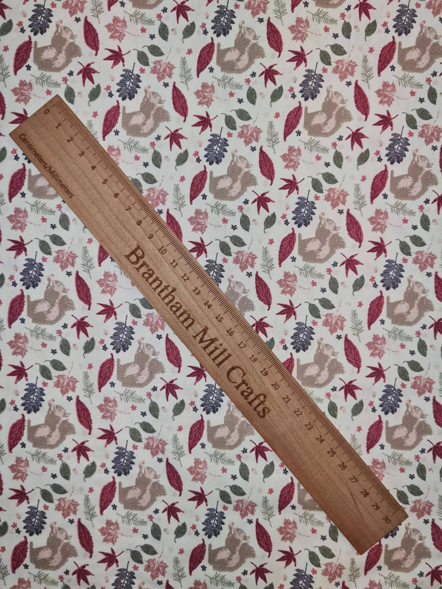 Autumn, Squirrel Print Fabric, 110cm width, 100% Cotton Poplin PER HALF METRE