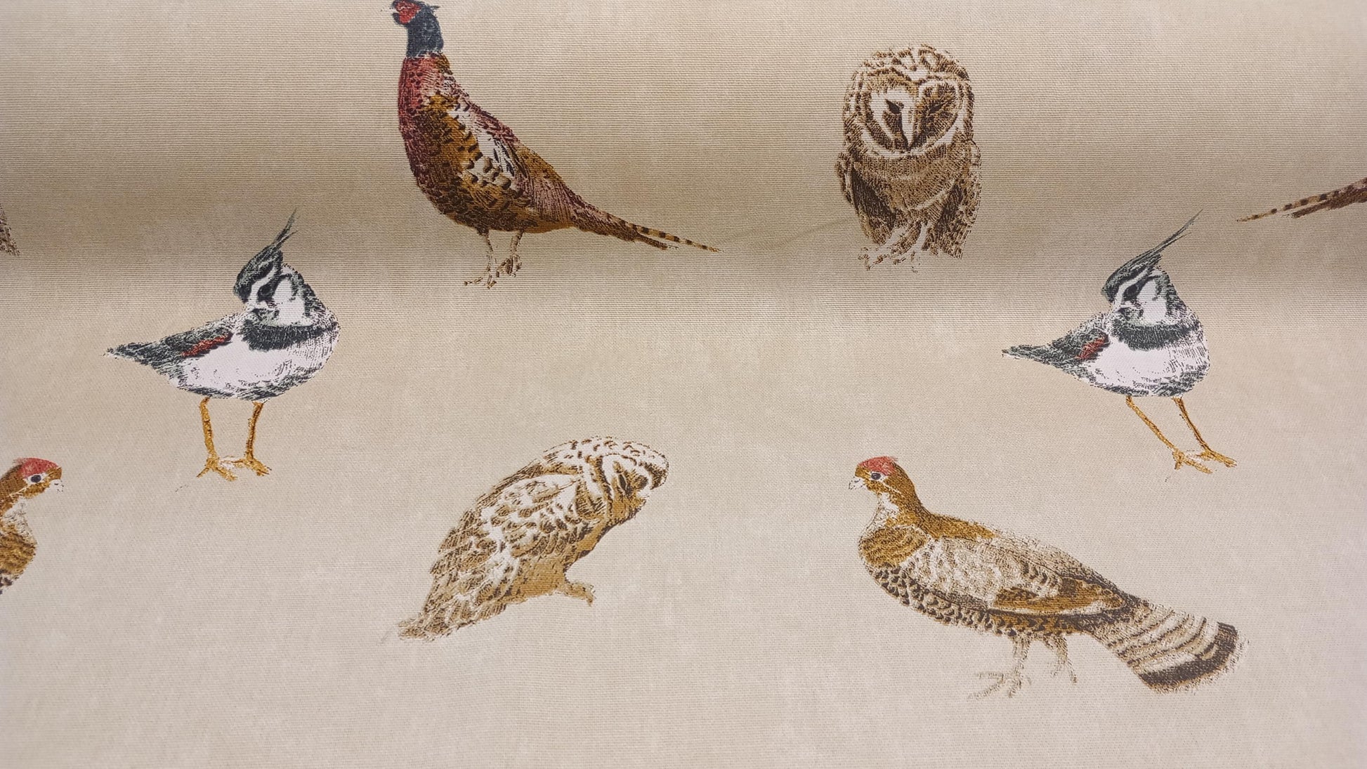 Wild Bird Fabric, PER HALF METRE