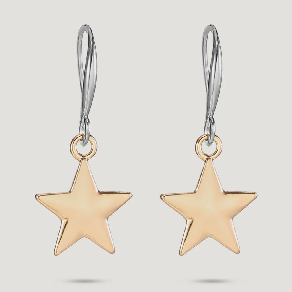 Gold & Silver Tone Base Alloy Hook Earrings