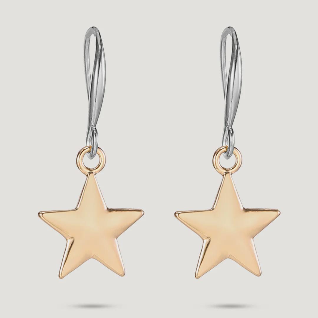 Gold & Silver Tone Base Alloy Hook Earrings