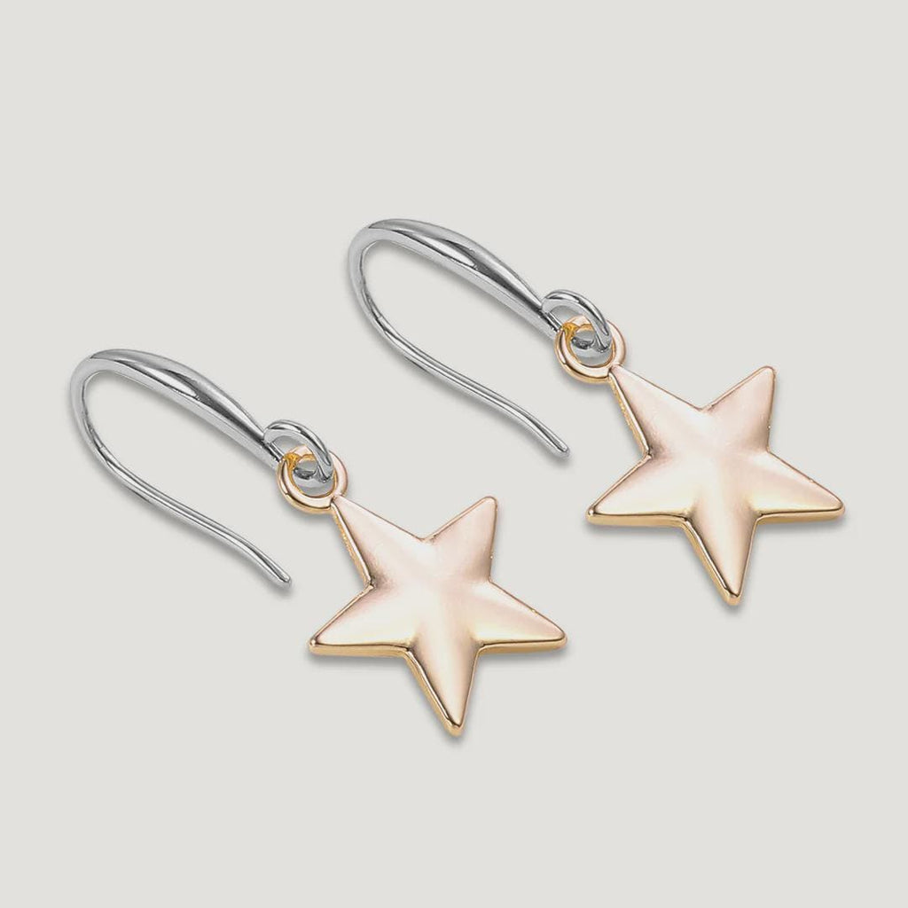 Gold & Silver Tone Base Alloy Hook Earrings