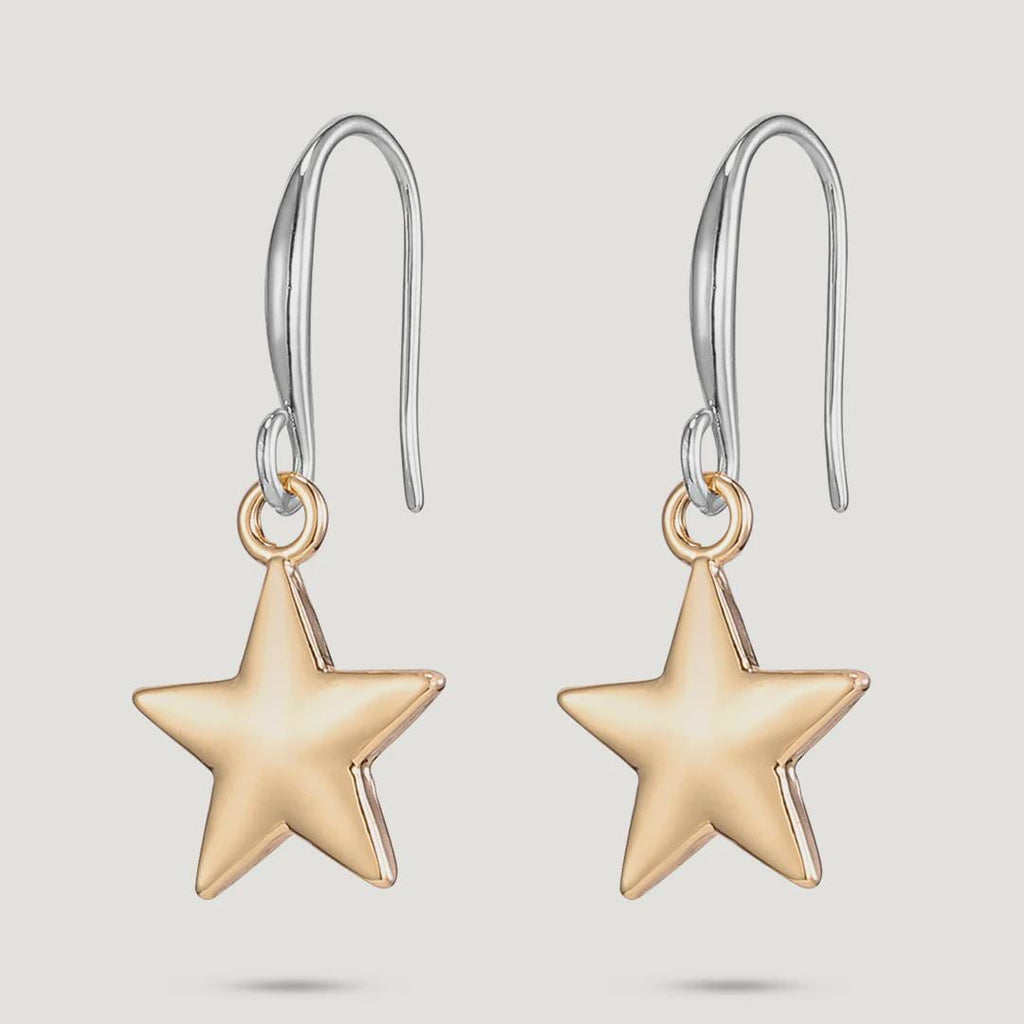 Gold & Silver Tone Base Alloy Hook Earrings